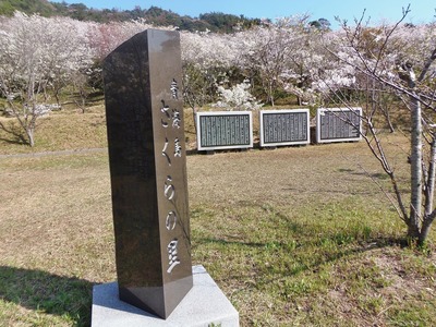 2014年4月1日の桜1.jpg