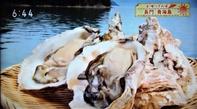 5青海島岩がき.jpg