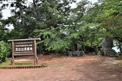 DSC_0152.jpg
