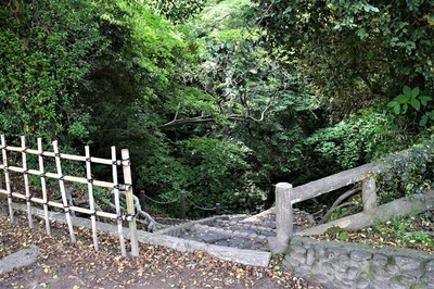 DSC_0155.jpg