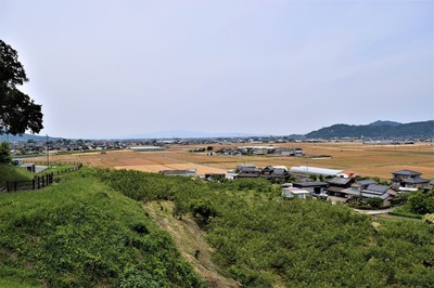 DSC_0303.jpg