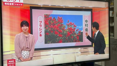 おたより写真館1.jpg