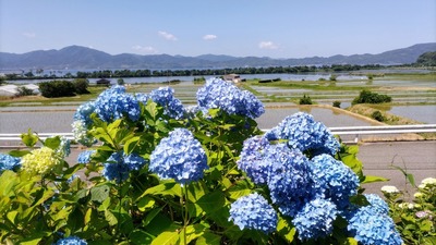 お気に入り.jpg