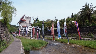 こいのぼりと音信川1.jpg