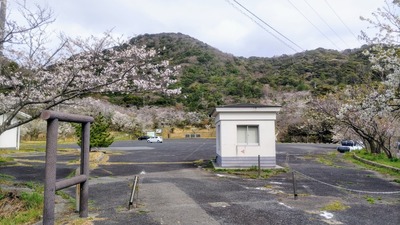さくらの里1.jpg