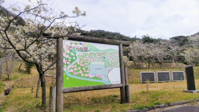 さくらの里9.jpg