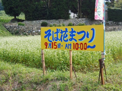 そば花まつり2.jpg