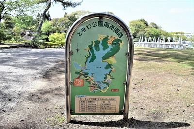 ときわ公園周遊園路.jpg