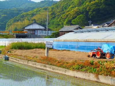 ふれあい農園.jpg