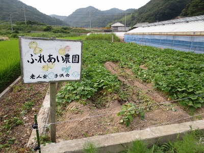 ふれあい農園1.jpg