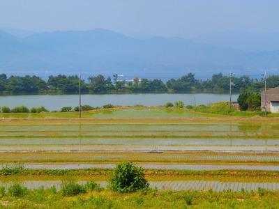 やまぐちの棚田20銭・青海地区.jpg