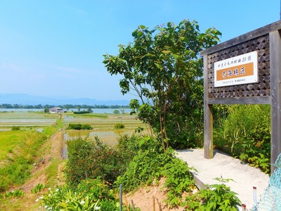 やまぐちの棚田20銭・青海地区1.jpg