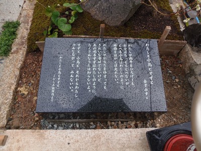 わたしと小鳥とすずと.jpg