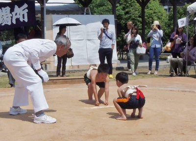 わんぱく相撲1.jpg