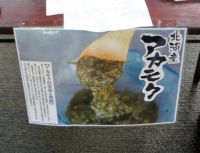 アカモク1.jpg