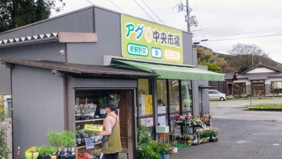 アグリ中央市場.jpg