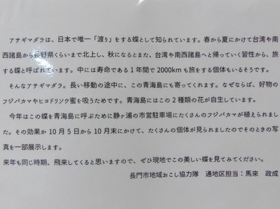 アサギマダラ説明1.jpg