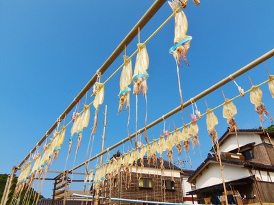 イカの天日干し.jpg