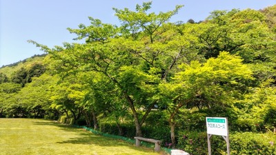 グラウンドゴルフ3.jpg