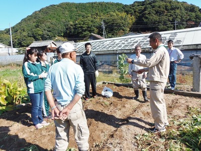 サツマイモ・ツルの植え方1.jpg
