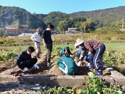 サツマイモ掘り1.jpg