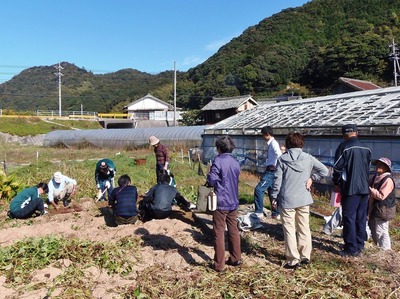サツマイモ掘り2地元の方も.jpg