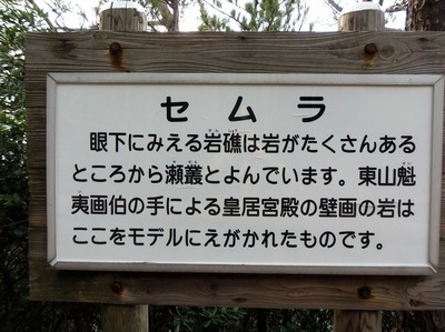 Z.jpg