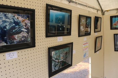ダイビングパネル展示1.jpg