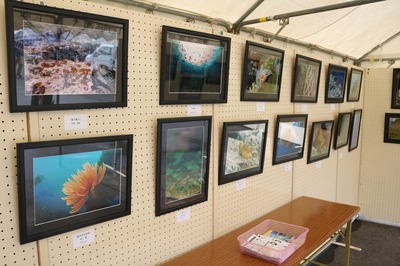 ダイビングパネル展示2.jpg