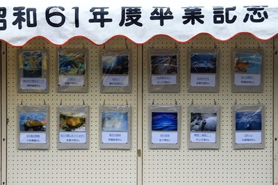 ダイビング海中パネル展.jpg