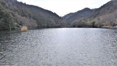 ダム湖.jpg