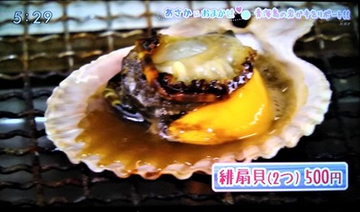 ヒオウギ貝.jpg