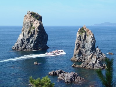 ピンクシータスとカモメ岩.jpg