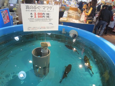 マフグ1.jpg