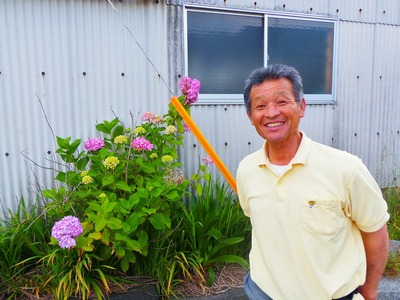 ラッパの正ちゃんと紫陽花.jpg