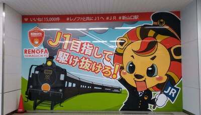 レノファ山口.jpg