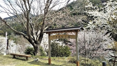 一の俣桜公園1.jpg