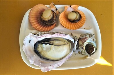 三種セット.jpg