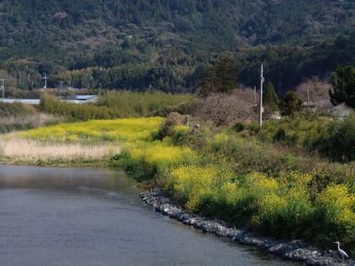 三隅川2.jpg