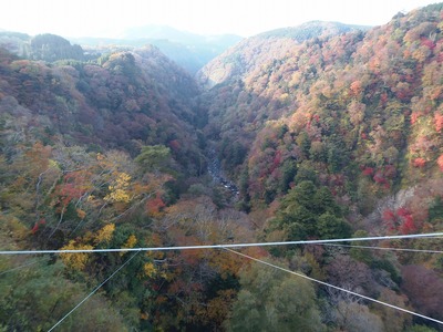 九重夢吊大橋からの秋色1.jpg