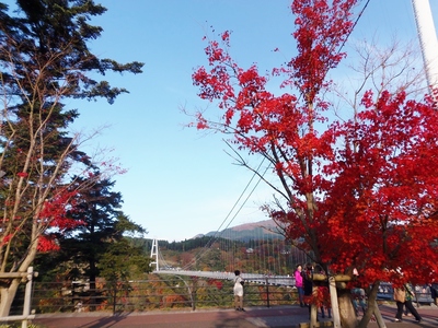 九重夢吊大橋と秋色2.jpg