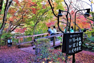 亀の井ガーデンの秋色1.jpg