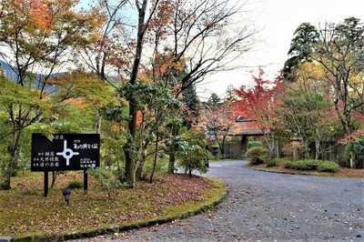 亀の井ガーデンの秋色2.jpg