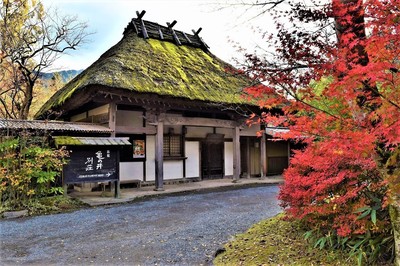 亀の井ガーデンの秋色4.jpg