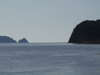 今岬・花津浦.jpg