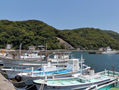 仙崎漁港と大泊・清水場1.jpg