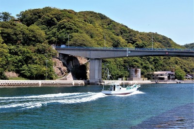 仙崎瀬戸と青海大橋.jpg