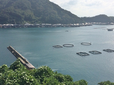 伊根の船宿3.jpg