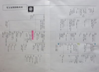児玉家関係略系図.jpg