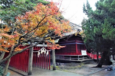 八坂神社の紅葉1.jpg